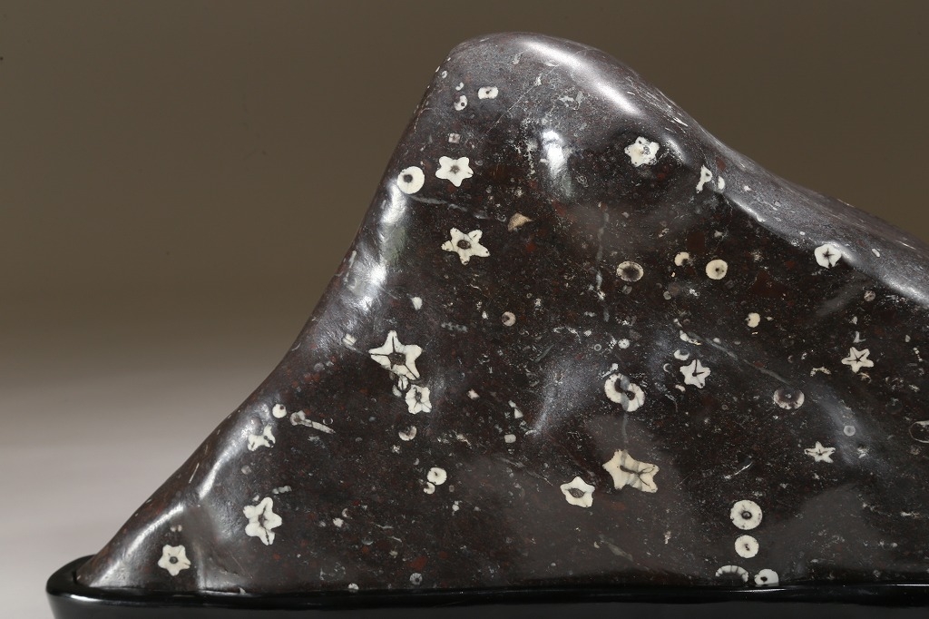 門司 梅花石 2個 2026年最新】梅花石 門司の人気アイテム - メルカリ