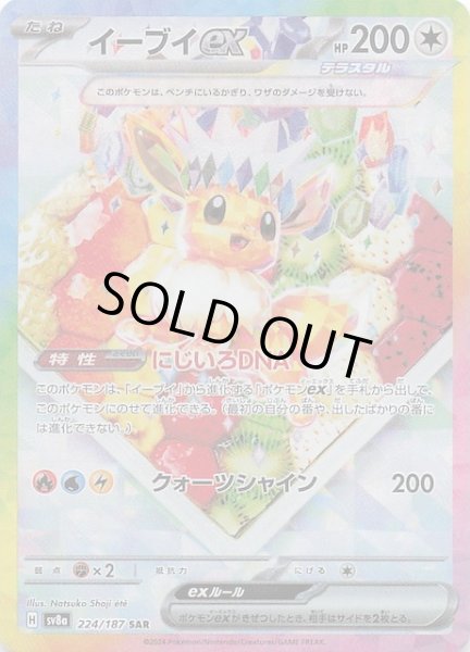 テラスタルフェスex SAR】イーブイex 224/187 - マナソース