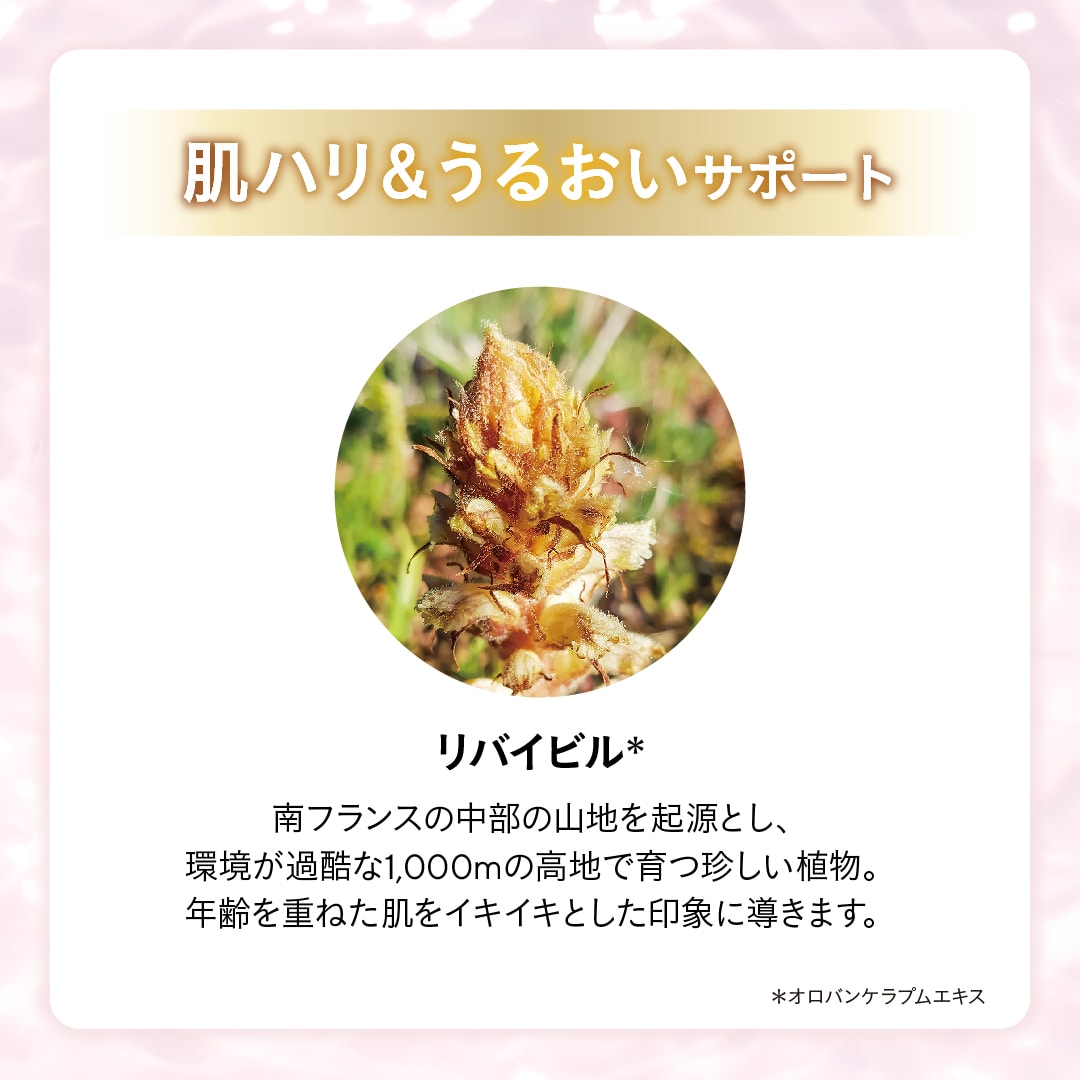 エステファクト ディープモイストV1: クリーム たかの友梨BEAUTY SHOPPING