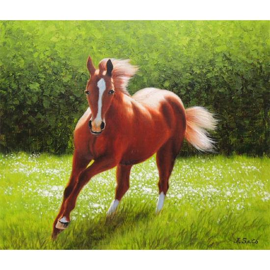 絵画 油絵 駿馬 (佐藤純一) 【肉筆】【油絵】【静物・動物画】【10号