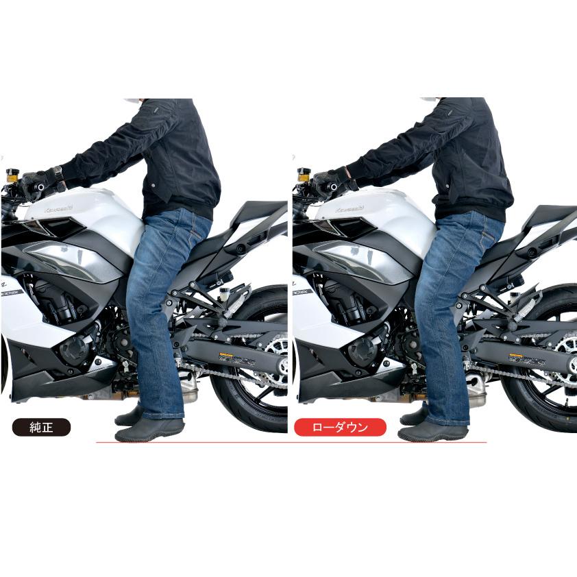 Kawasaki Ninja1000、Ninja1000SX 20mmローダウンセット EFFEX