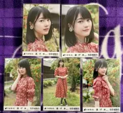 2026年最新】生田絵梨花 生写真の人気アイテム - メルカリ