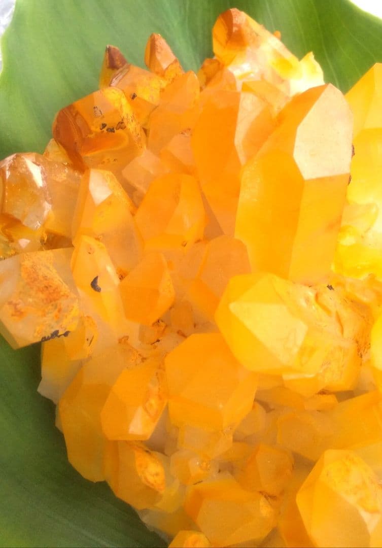 超希少 ゴールデンヒーラー クラスター ギャランティカード付き 1105972669.jpg?1609317602