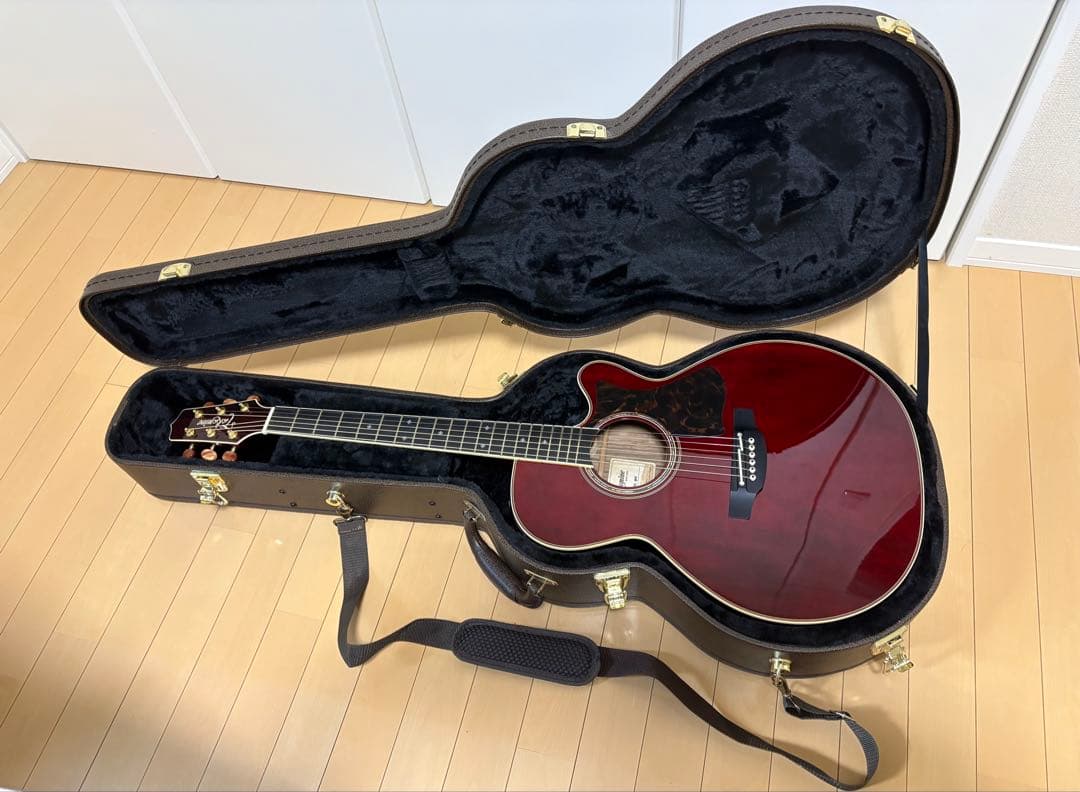 ギター Takamine DMP50S WR