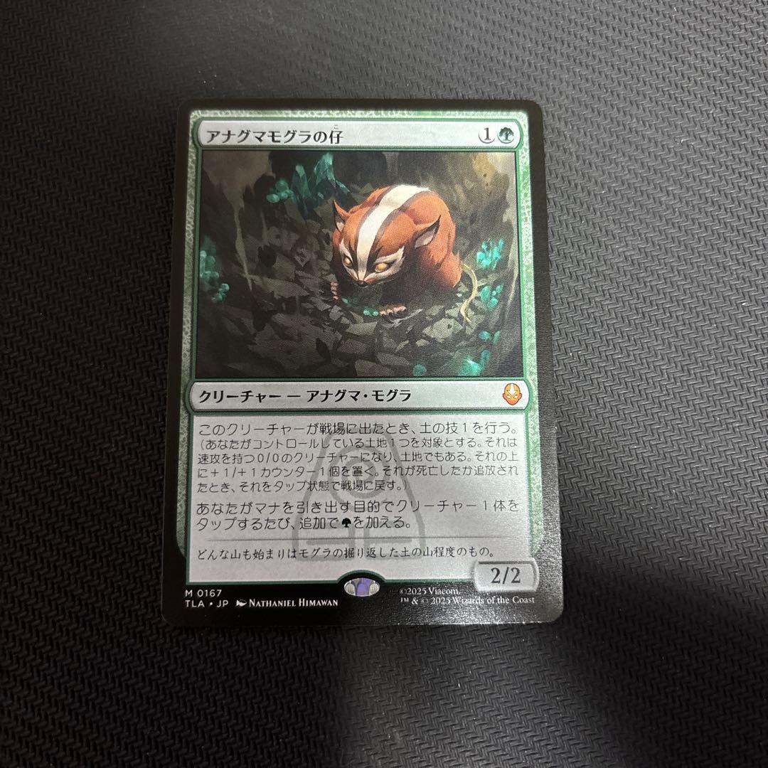 MTG アナグマモグラの仔 日本語1枚 MTG アナグマモグラの仔/Badgermole Cub 通常 日本語1枚】 - メルカリ