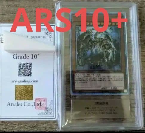 せっちゃんさん専用　遊戯王 万物創世龍 ARS10＋