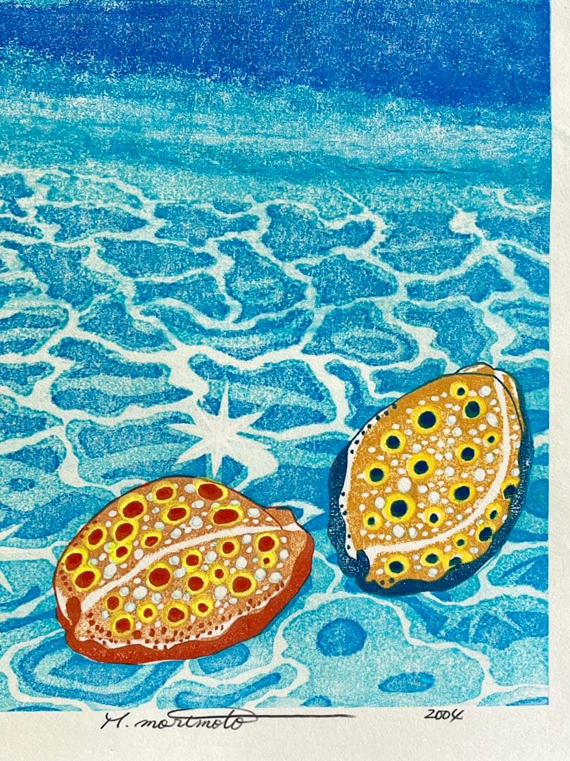 #『Southern blue 』　カノコダカラ貝